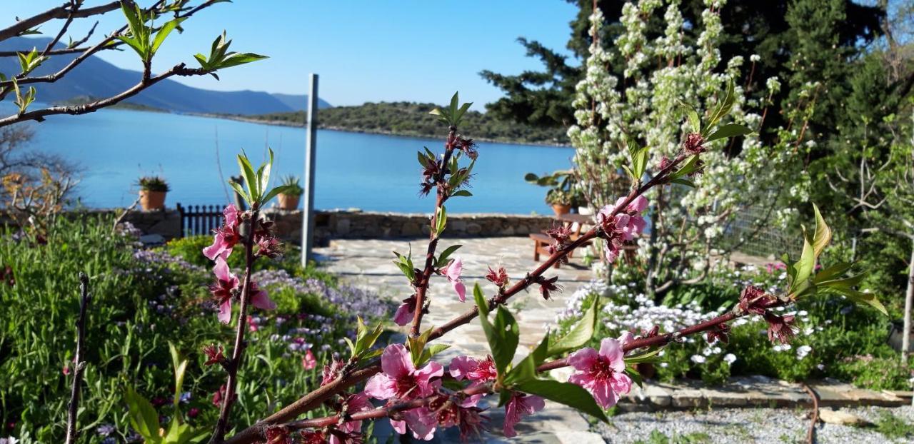 Blueline Guesthouse Agios Dimitrios  Exteriér fotografie
