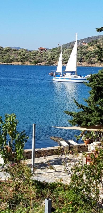 Blueline Guesthouse Agios Dimitrios  Exteriér fotografie